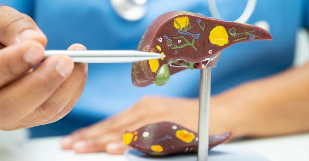 New Technology for Growing Printed Tissues for Transplantation