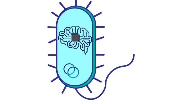 Illustration: bacterial cells as artificial neural circuits